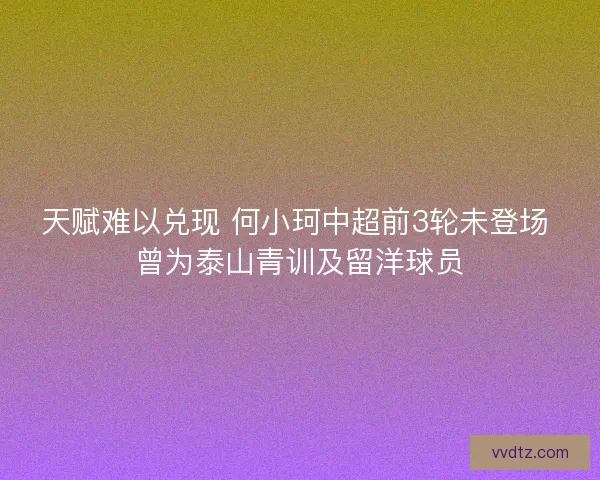 天赋难以兑现 何小珂中超前3轮未登场 曾为泰山青训及留洋球员