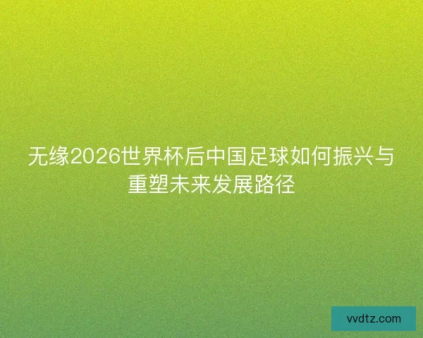无缘2026世界杯后中国足球如何振兴与重塑未来发展路径